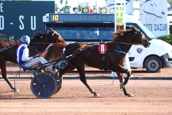 Photo d'arrivée de la course pmu PRIX DE LA COTE D'AZUR à CAGNES-SUR-MER le Jeudi 11 janvier 2024