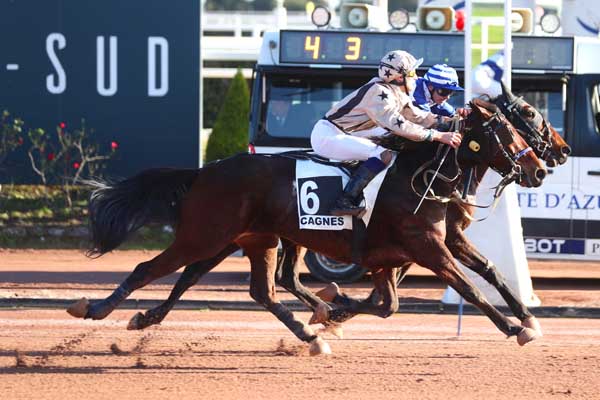 Photo d'arrivée de la course pmu PRIX HULK DE GODISSON à CAGNES-SUR-MER le Jeudi 11 janvier 2024