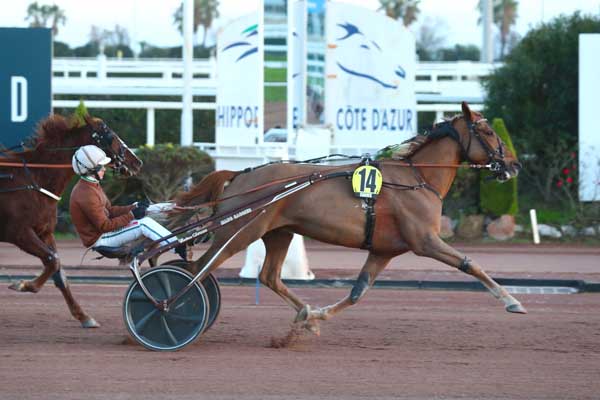 Photo d'arrivée de la course pmu PRIX FREDERIC PASSY à CAGNES-SUR-MER le Jeudi 11 janvier 2024