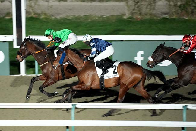 Photo d'arrivée de la course pmu PRIX DE L'HOTEL ATLANTIQUE à DEAUVILLE le Vendredi 12 janvier 2024