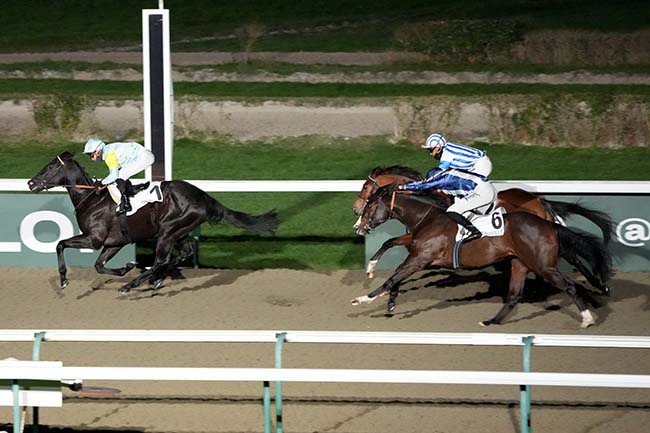 Photo d'arrivée de la course pmu PRIX DE LA GARE DE POINTE-NOIRE à DEAUVILLE le Vendredi 12 janvier 2024