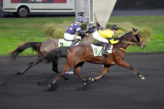 Photo d'arrivée de la course pmu PRIX DJERID à PARIS-VINCENNES le Dimanche 14 janvier 2024