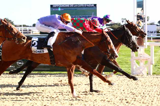 Photo d'arrivée de la course pmu PRIX CHARLES GASTAUD à CAGNES-SUR-MER le Lundi 15 janvier 2024