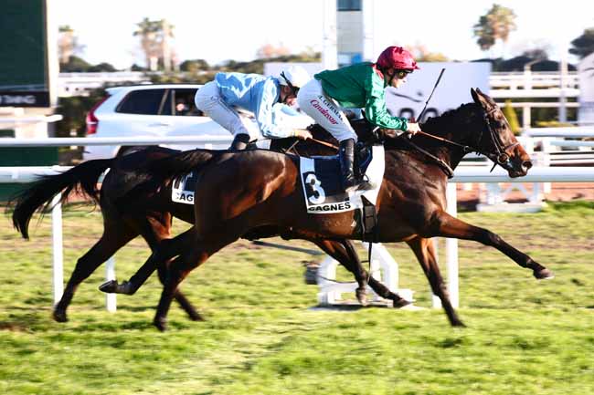 Photo d'arrivée de la course pmu PRIX DE MAGNAN à CAGNES-SUR-MER le Lundi 15 janvier 2024