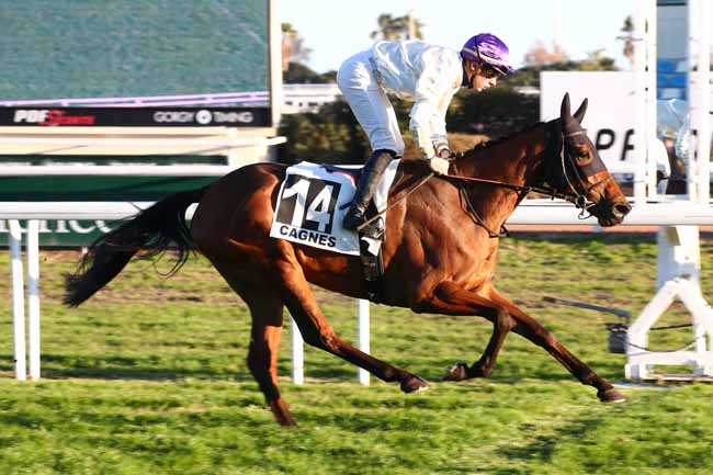Photo d'arrivée de la course pmu PRIX DE RIMIEZ à CAGNES-SUR-MER le Lundi 15 janvier 2024