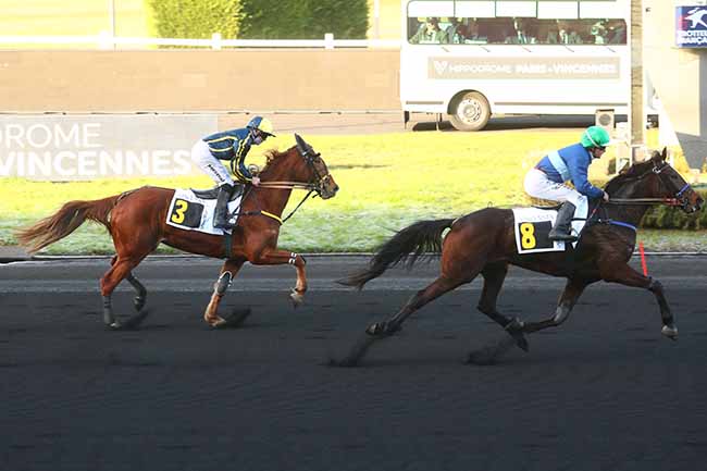 Photo d'arrivée de la course pmu PRIX DE BAYONNE à PARIS-VINCENNES le Mardi 16 janvier 2024