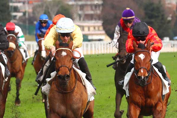 Photo d'arrivée de la course pmu PRIX DE LA CORNICHE FLEURIE à CAGNES-SUR-MER le Mercredi 17 janvier 2024