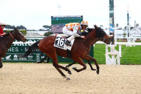 Photo d'arrivée de la course pmu PRIX CAIRE GROS à CAGNES-SUR-MER le Mercredi 17 janvier 2024