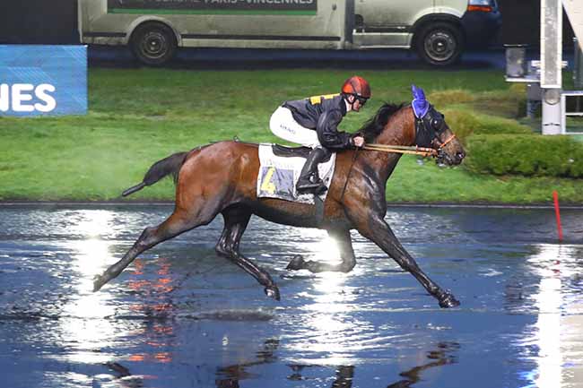 Photo d'arrivée de la course pmu PRIX DE PORNICHET à PARIS-VINCENNES le Mercredi 17 janvier 2024