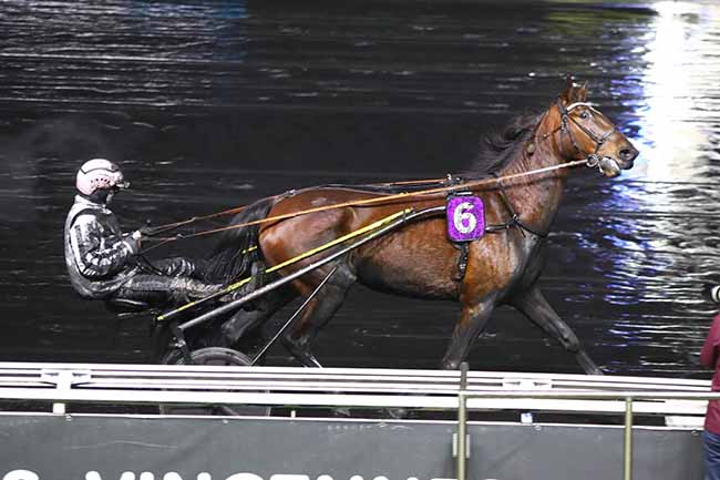 Photo d'arrivée de la course pmu PRIX RIOM à PARIS-VINCENNES le Mercredi 17 janvier 2024