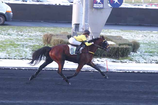 Photo d'arrivée de la course pmu PRIX DE LA FERTE-BERNARD à PARIS-VINCENNES le Jeudi 18 janvier 2024
