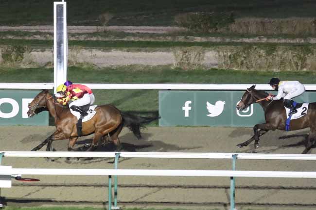 Photo d'arrivée de la course pmu PRIX DE SAINT-JAMES à DEAUVILLE le Vendredi 19 janvier 2024