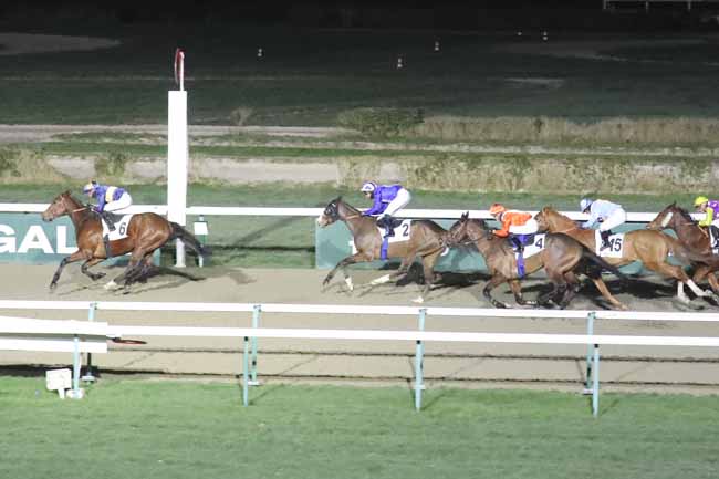 Photo d'arrivée de la course pmu PRIX DU BASSIN DU COMMERCE à DEAUVILLE le Vendredi 19 janvier 2024