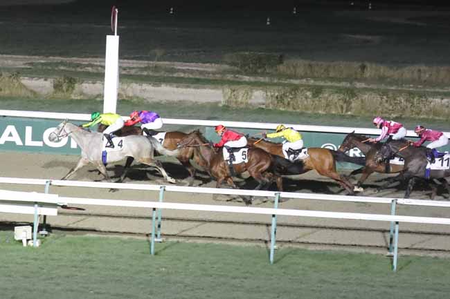 Photo d'arrivée de la course pmu PRIX DE SUBLES à DEAUVILLE le Vendredi 19 janvier 2024