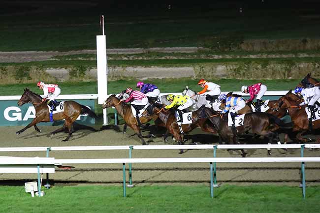 Photo d'arrivée de la course pmu PRIX DU 