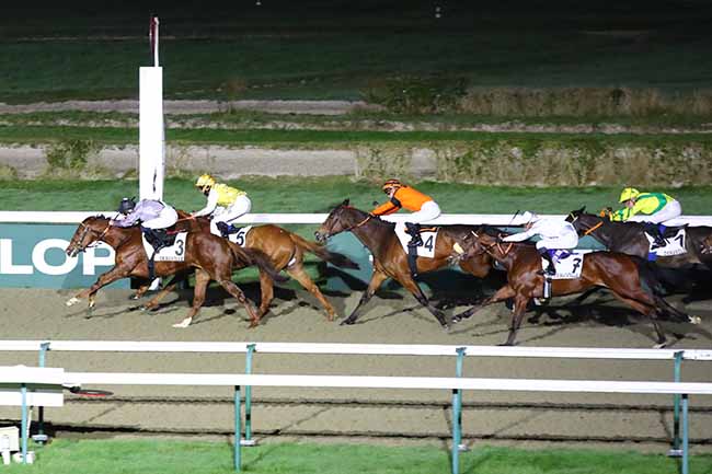 Photo d'arrivée de la course pmu PRIX DE DOUVILLE à DEAUVILLE le Vendredi 26 janvier 2024
