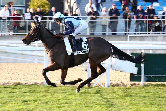 Photo d'arrivée de la course pmu PRIX DU ROUSSILLON à CAGNES-SUR-MER le Lundi 29 janvier 2024