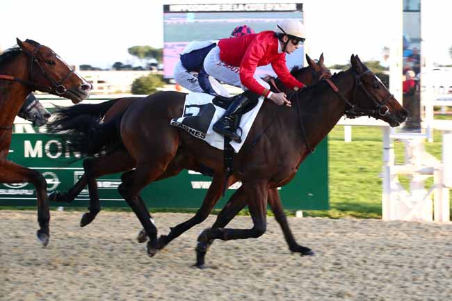 Photo d'arrivée de la course pmu PRIX DES LACS à CAGNES-SUR-MER le Lundi 29 janvier 2024