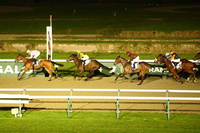 Photo d'arrivée de la course pmu PRIX DU NICE HAVRAIS à DEAUVILLE le Vendredi 2 février 2024