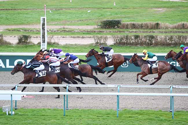Photo d'arrivée de la course pmu PRIX DU TREPORT à DEAUVILLE le Samedi 3 février 2024