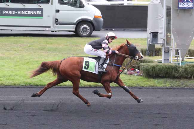 Photo d'arrivée de la course pmu PRIX DE CHATELAILLON-LA-ROCHELLE à PARIS-VINCENNES le Samedi 3 février 2024