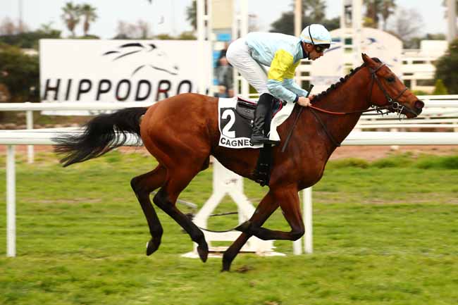 Photo d'arrivée de la course pmu PRIX JOSEPH COLLIGNON à CAGNES-SUR-MER le Lundi 5 février 2024