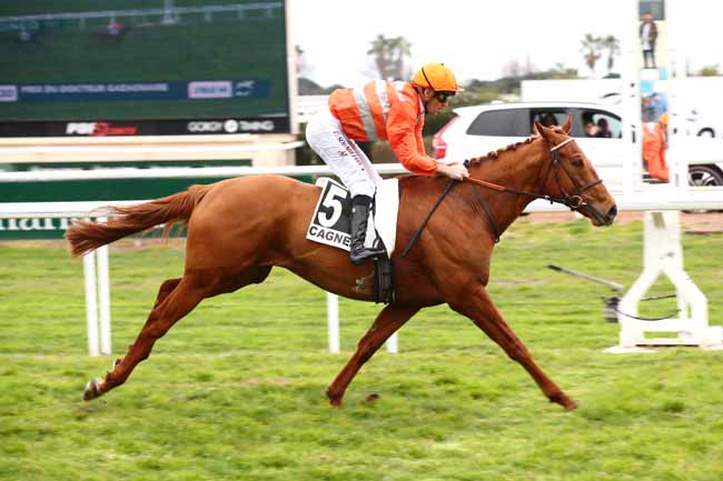 Photo d'arrivée de la course pmu PRIX DU DOCTEUR GAZAGNAIRE à CAGNES-SUR-MER le Lundi 5 février 2024