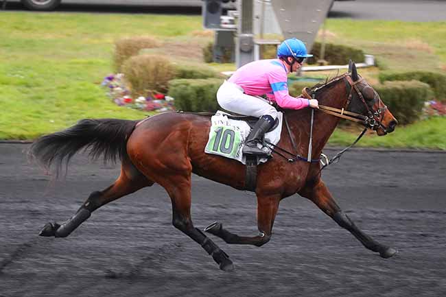 Photo d'arrivée de la course pmu PRIX DE L'ILLE-ET-VILAINE à PARIS-VINCENNES le Mardi 6 février 2024