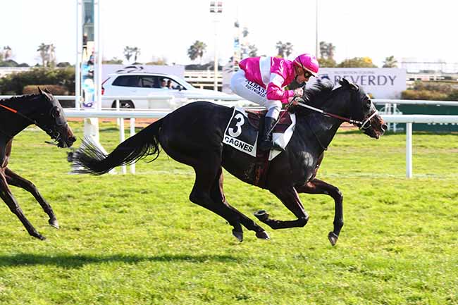Photo d'arrivée de la course pmu PRIX DES BOUCHES-DU-RHONE à CAGNES-SUR-MER le Mercredi 7 février 2024