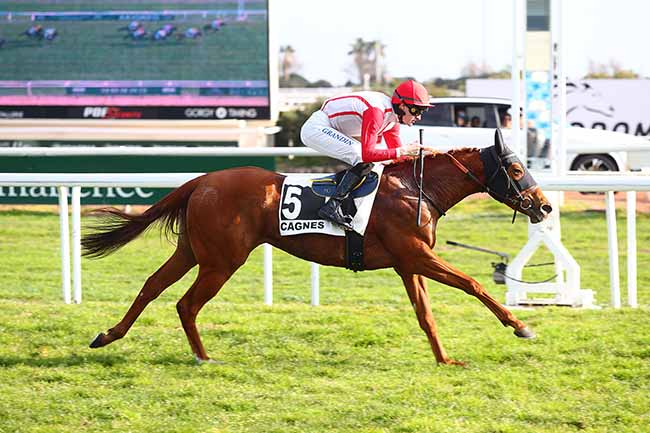 Photo d'arrivée de la course pmu PRIX DES GENEVRIERS à CAGNES-SUR-MER le Mercredi 7 février 2024