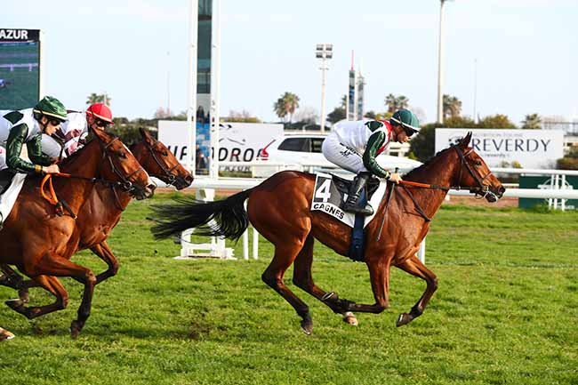 Photo d'arrivée de la course pmu PRIX DE PARISLONGCHAMP à CAGNES-SUR-MER le Mercredi 7 février 2024