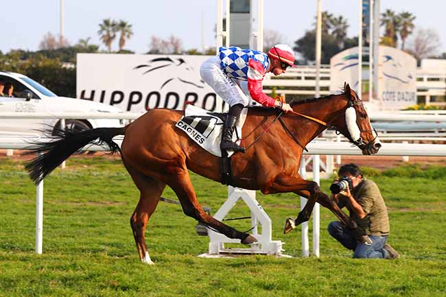 Photo d'arrivée de la course pmu PRIX DE BOGEVE à CAGNES-SUR-MER le Mercredi 7 février 2024