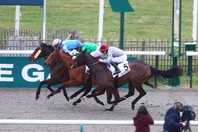 Photo d'arrivée de la course pmu PRIX DE LA TABLE D'APREMONT à CHANTILLY le Vendredi 9 février 2024