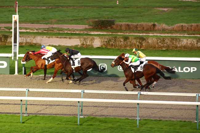 Photo d'arrivée de la course pmu PRIX CRICKET BALL à DEAUVILLE le Samedi 10 février 2024
