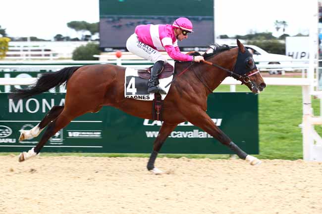 Photo d'arrivée de la course pmu PRIX DE LA MENTHE POIVREE à CAGNES-SUR-MER le Lundi 12 février 2024