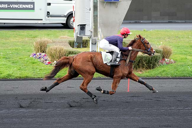 Photo d'arrivée de la course pmu PRIX DE RUGLES à PARIS-VINCENNES le Mercredi 14 février 2024