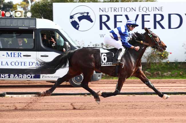 Photo d'arrivée de la course pmu PRIX SCARLET TURGOT à CAGNES-SUR-MER le Jeudi 15 février 2024