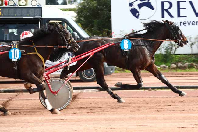Photo d'arrivée de la course pmu PRIX ANDRE ROUZAUD à CAGNES-SUR-MER le Jeudi 15 février 2024