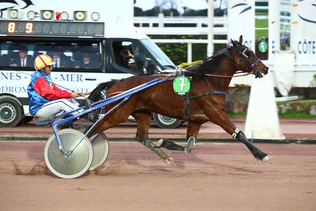 Photo d'arrivée de la course pmu PRIX DE PORTO à CAGNES-SUR-MER le Jeudi 15 février 2024
