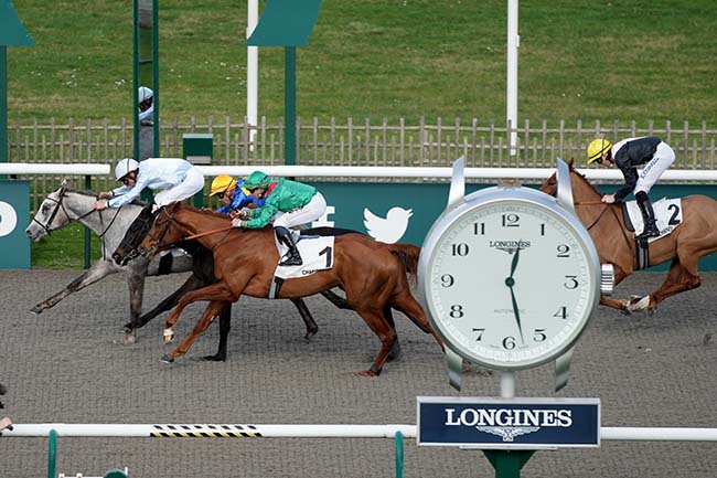 Photo d'arrivée de la course pmu PRIX DU CHATEAU DE LA REINE BLANCHE à CHANTILLY le Jeudi 15 février 2024