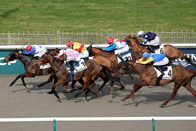 Photo d'arrivée de la course pmu PRIX DU CHEMIN DE COMPOSTELLE à CHANTILLY le Jeudi 15 février 2024