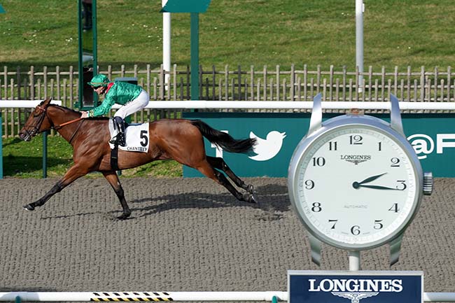 Photo d'arrivée de la course pmu PRIX DE CHAUVRY à CHANTILLY le Jeudi 15 février 2024