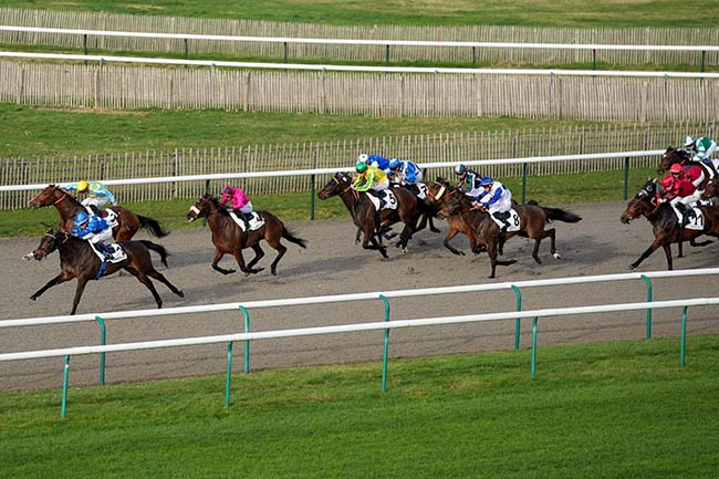 Photo d'arrivée de la course pmu PRIX DE LA FONTAINE SAINT-GERVAIS à CHANTILLY le Jeudi 15 février 2024