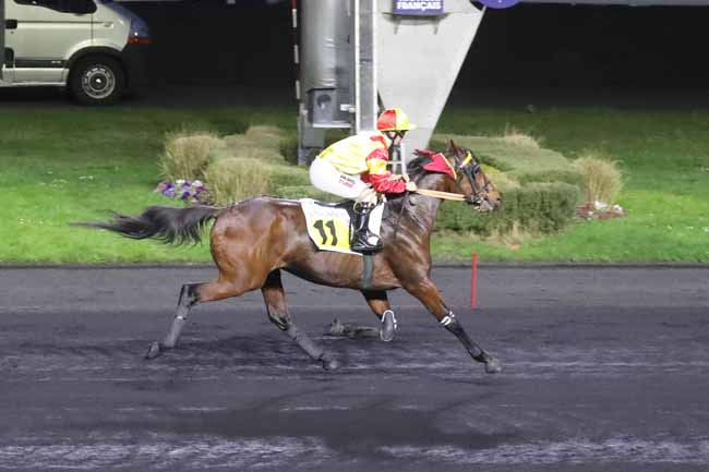 Photo d'arrivée de la course pmu PRIX PAUL BASTARD à PARIS-VINCENNES le Vendredi 16 février 2024