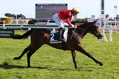 Photo d'arrivée de la course pmu PRIX POLICEMAN - PRIX DU CROS DE CAGNES à CAGNES-SUR-MER le Samedi 17 février 2024