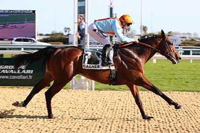 Photo d'arrivée de la course pmu GRAND PRIX DE LA VILLE DE CAGNES-SUR-MER (PRIX DU VAR) à CAGNES-SUR-MER le Samedi 17 février 2024