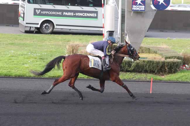 Photo d'arrivée de la course pmu PRIX DE BELLEGARDE à PARIS-VINCENNES le Mardi 20 février 2024
