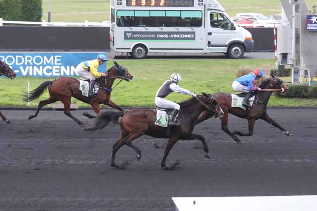 Photo d'arrivée de la course pmu PRIX D'AVENCHES à PARIS-VINCENNES le Mardi 20 février 2024