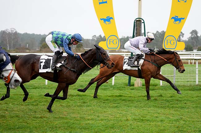 Photo d'arrivée de la course pmu PRIX DU CHATEAU DE FONTAINEBLEAU à FONTAINEBLEAU le Mardi 20 février 2024