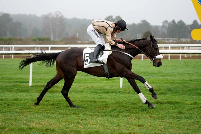 Photo d'arrivée de la course pmu PRIX ANNELISE REINBOLD à FONTAINEBLEAU le Mardi 20 février 2024
